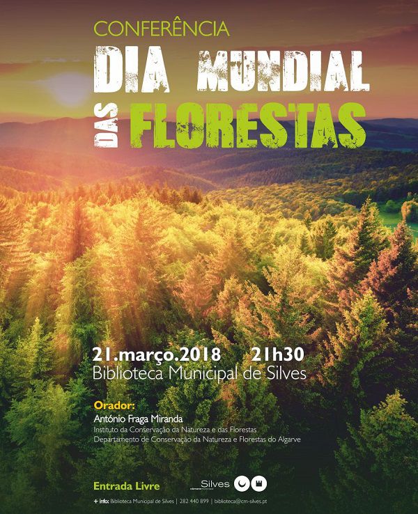 DiaMundial Florestas DiaMundial Florestas