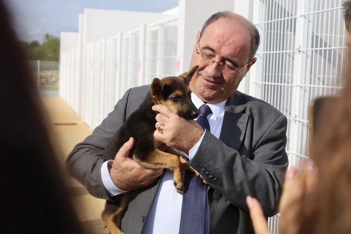 Faro-Recolha-Animal-1