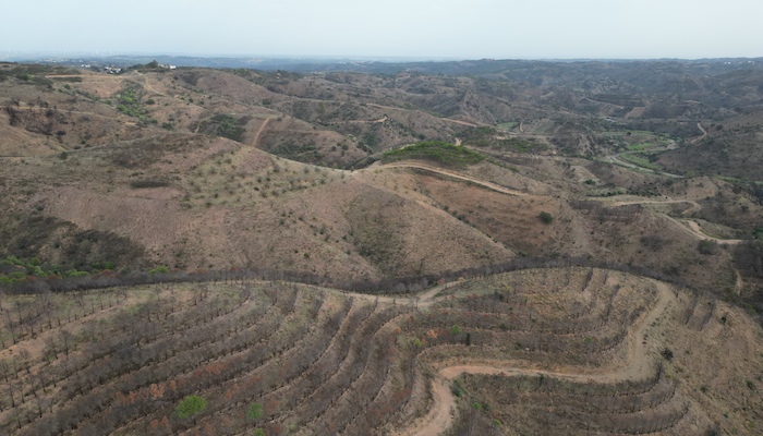 Área-Ardida-GuadiMonte