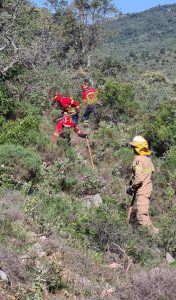 CREPC-Treino-Incêndios-10