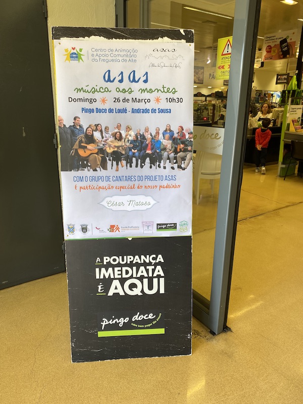 ASAS-Pingo