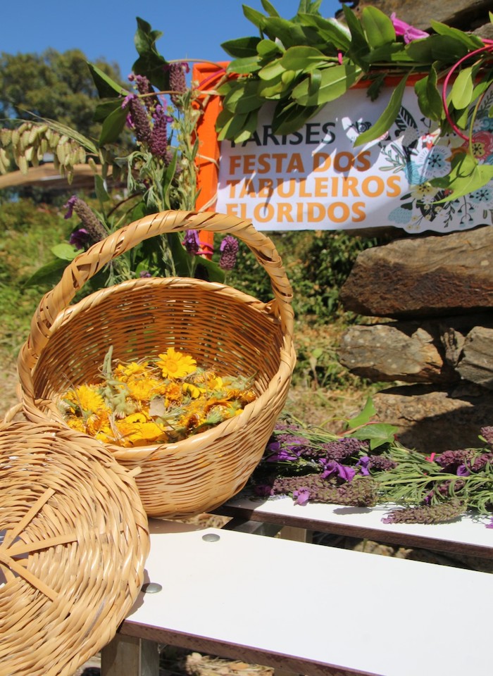 Festa-Tabuleiros-Floridos-1