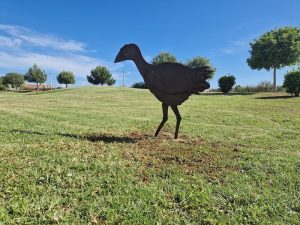 Parque-Ribeirinho-4