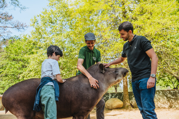 Zoo-Santo-Inácio-2