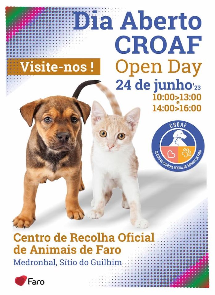 Dia-Aberto-CRecolha-Animais Dia-Aberto-CRecolha-Animais