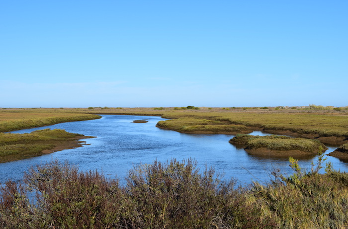Ria-Formosa-1
