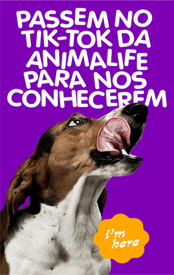 Animalife- Dia-Cão-2