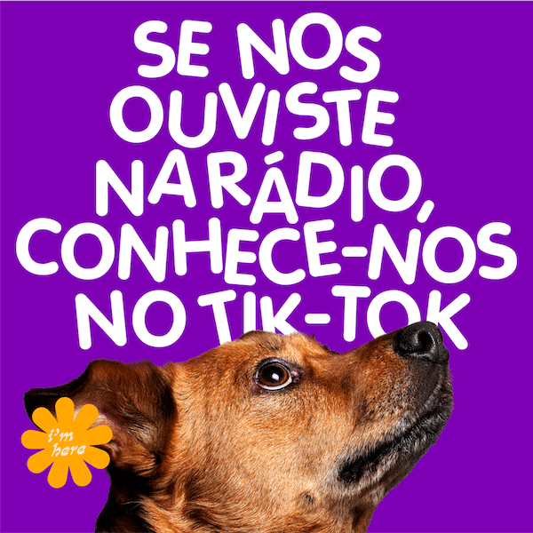Animalife- Dia-Cão-3
