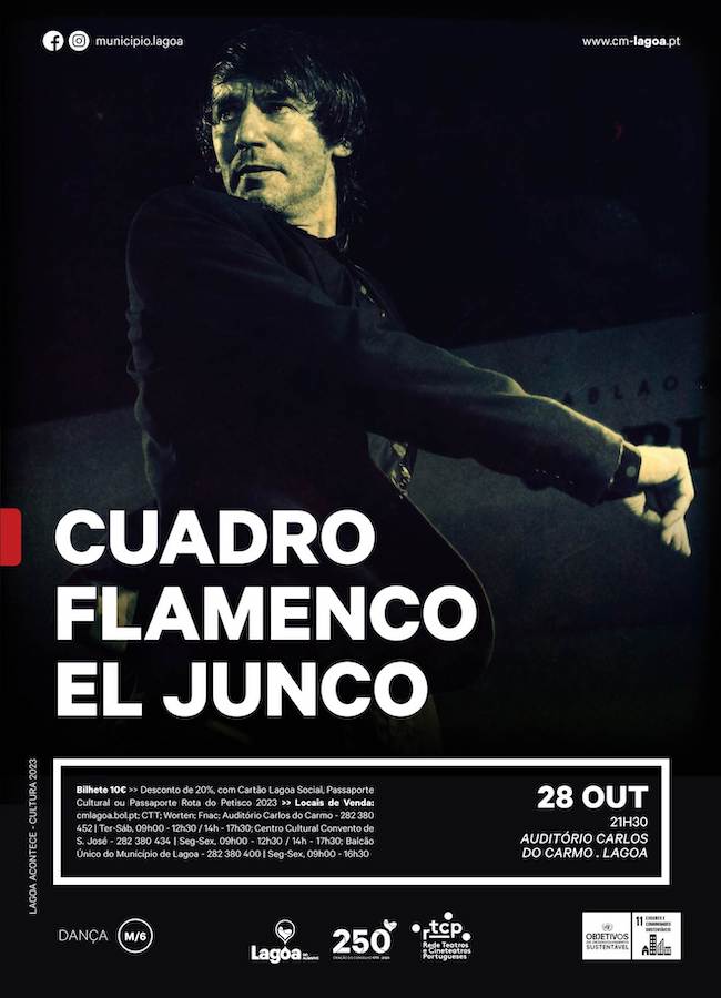 Cuadro-Flamenco