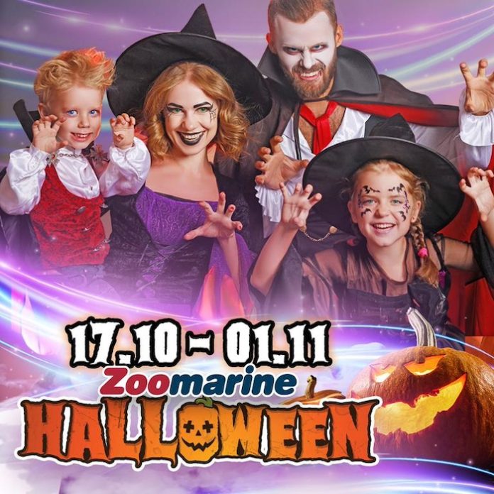 Zoomarine-Halloween-3 Zoomarine-Halloween-3