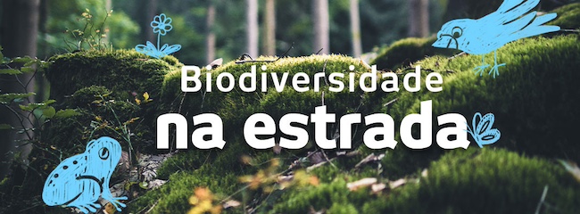 Ascendi-Biodiversidade-Estrada Ascendi-Biodiversidade-Estrada