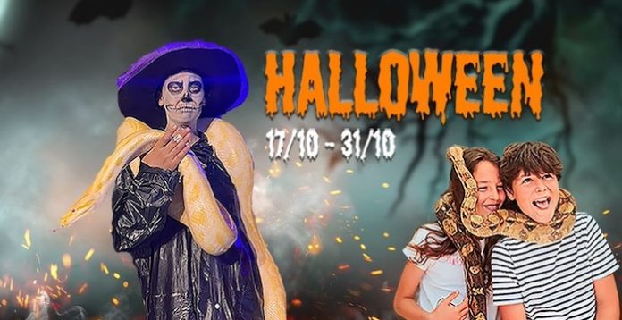 Halloween-Krazy-World-Zoo Halloween-Krazy-World-Zoo