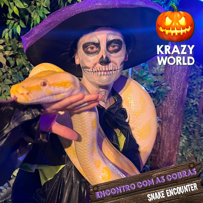 Krazy-World-Zoo
