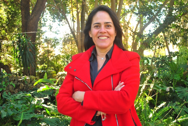 Catarina-Marques-CDU-Faro Catarina-Marques-CDU-Faro