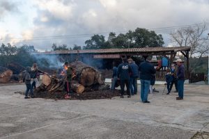 Madeiro-Cortelha-8