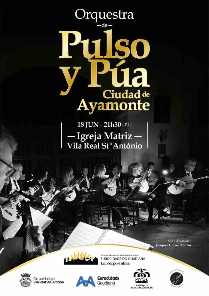 Orquestra Pulso y Pua