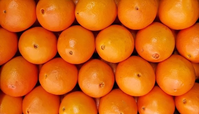AlgarOrange-Citrinos-Algarve-2 AlgarOrange-Citrinos-Algarve-2
