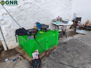 GNR-Lisboa-Operação-4