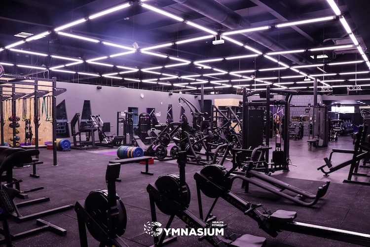 Gymnasium1
