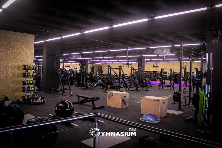 Gymnasium2