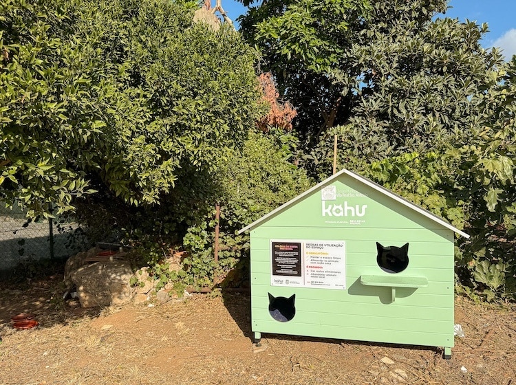 VRSA-abrigos-gatos-3