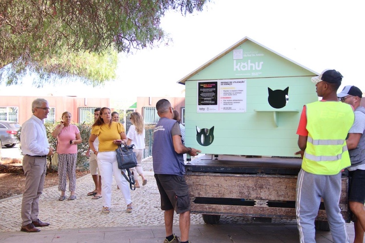 VRSA-abrigos-gatos-4