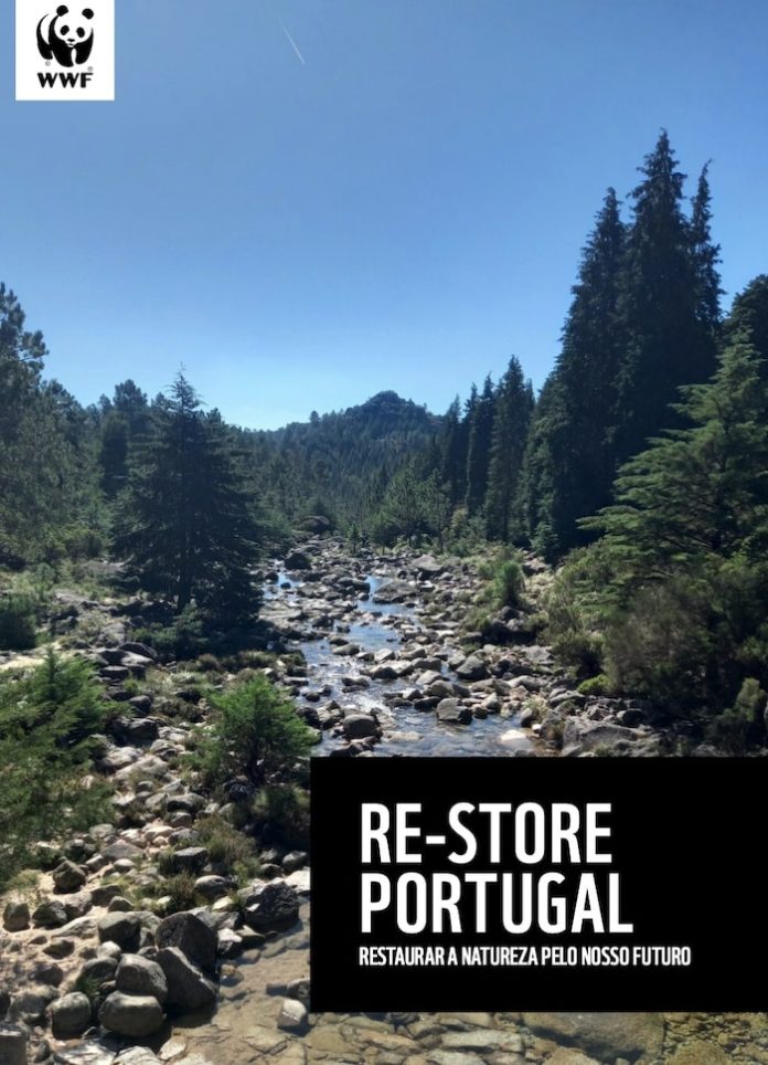 WWF-Re-Store-Portugal WWF-Re-Store-Portugal
