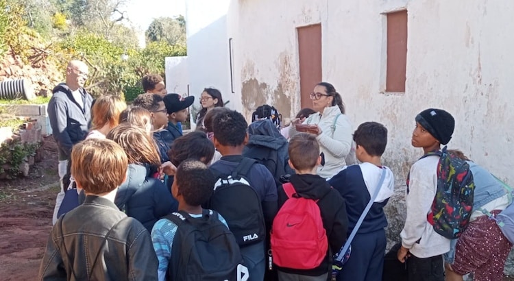 Silves-Atividades-Educativas-1