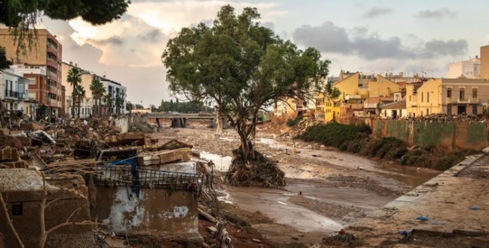 Ficdelidade-WWF-insurance Ficdelidade-WWF-insurance