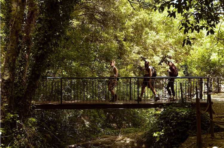Turismo-Algarve-natureza-Aljezur