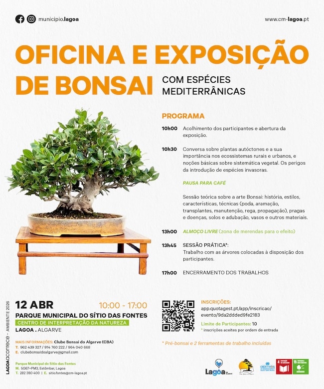 Lagoa-Oficina-Bonsai Lagoa-Oficina-Bonsai