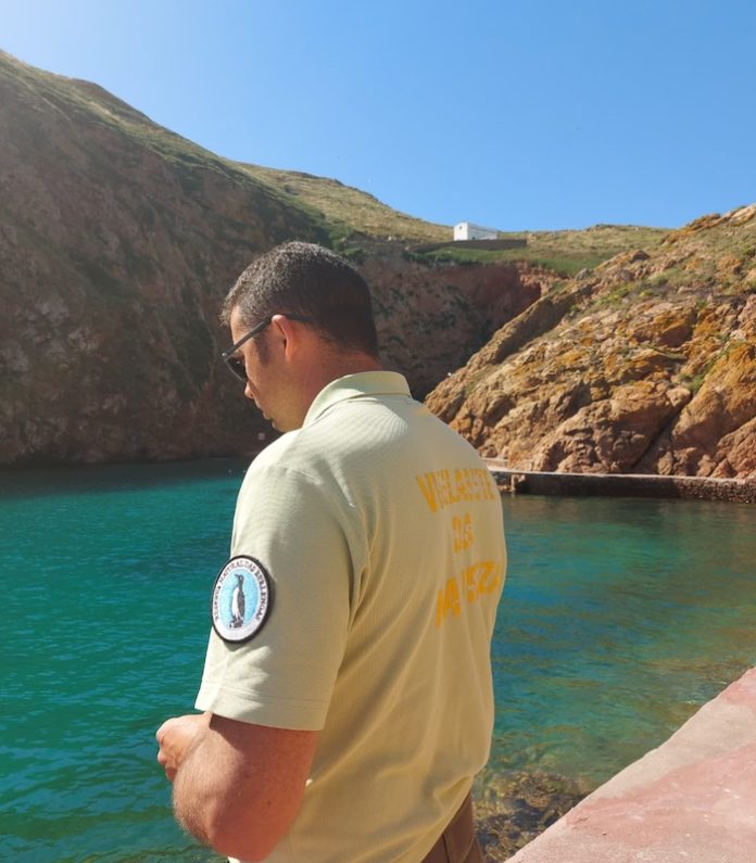 SinFAP-Berlengas SinFAP-Berlengas