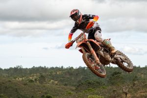 Cortelha-MX2-TomásSantos