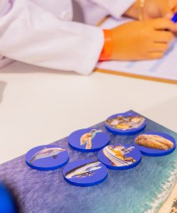 Zoomarine-KidZania-11
