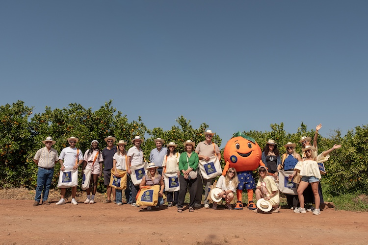 Citrinos-Algarve-4