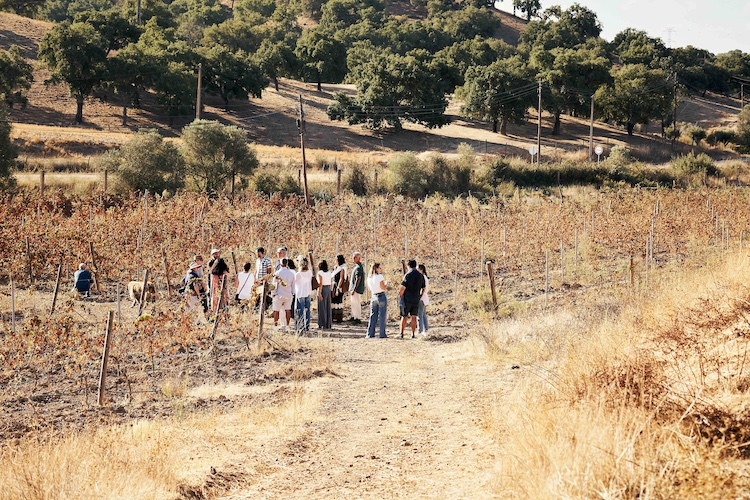 Handsome-Festival-Herdade-Barranco-Vale
