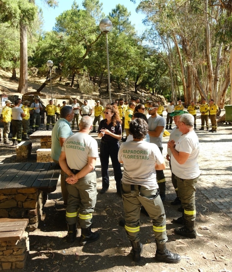 SBA-Sapadores-Florestais-2
