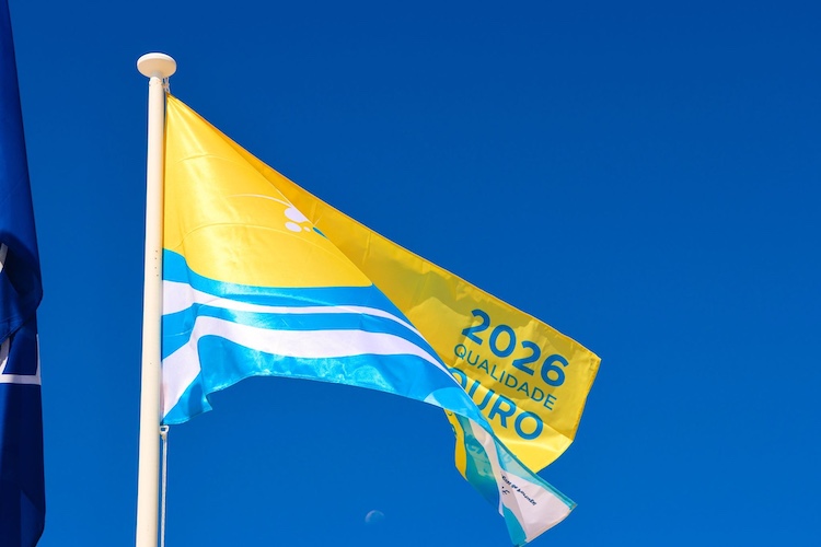 Quercus-Bandeira-Dourada