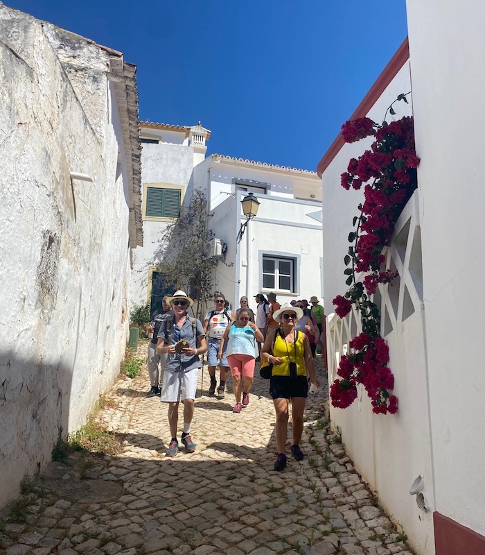 Trilho-Ribeira-Alte-4